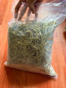 Rabbit  Timothy Hay Brand new
