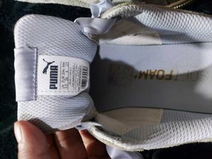 Puma Shoe