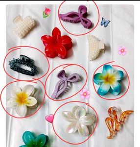 Hair Clip Bundle