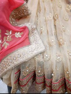 CORAL N GOLDEN NET SAREE