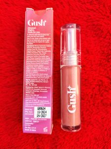 Gush Beauty 😍 ✨ 2 Lipstick 💄💋 1 Lipoip glose