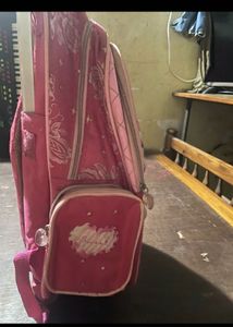 Pink Trolley Bag
