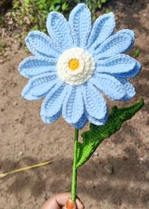 Gerbera flower