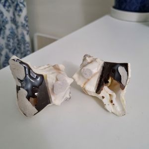 Sea Shell Salt &amp; Pepper Shakers (Display Only)