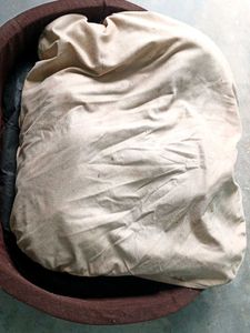 Dog&#39;s Bed
