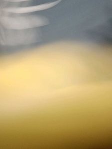 Cute Yellow Handbag