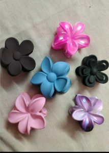 Trendy Hair Clutcher