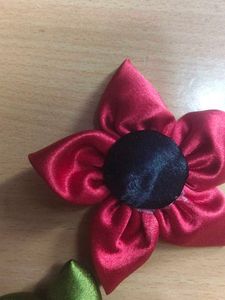 Stylish 6 Hair Clips 99 Rupees