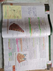 Biology NCERT - Classe XII