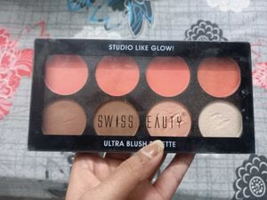 SWISS BEAUTY Palette + MAC Loose Powder