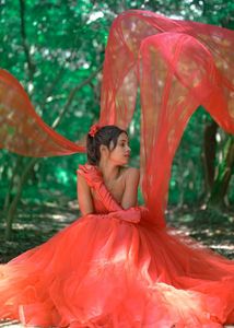 Stunning Red Tulle Gown
