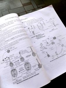 NCERT Exemplar Problem-Solutions BIOLOGY(11th)