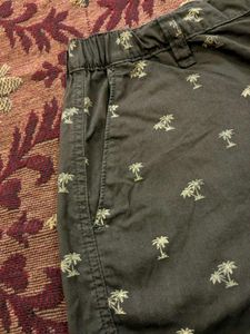 Shorts For Men