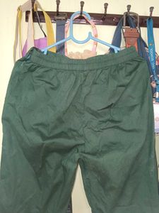 Green Casual Pants