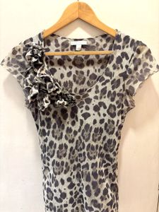 Beautiful Leopard Print Mesh Imported Top
