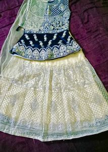Embroidered Lehenga Choli Set