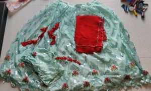 New Lehanga Choli
