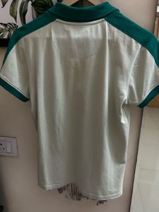 USPA Cream &amp; Green Polo