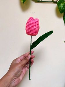 Crochet Tulip Flower