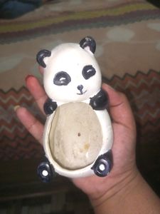 Cute Panda Plant