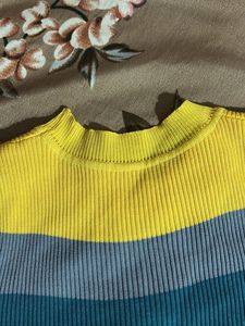 Rainbow Crop Top