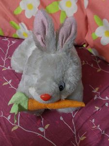 Toy