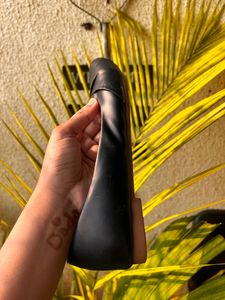 Black Belly Shoe