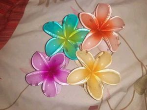 Flower Hair Clips - Set of 4