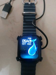 T800 Ultra Watch