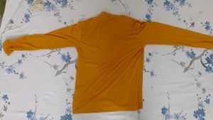 Orange Polo Full T-Shirt - Size-L