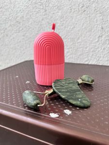 Ice Facial Roller & Gua Sha Set