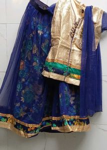 Lehenga Choli(indo western dress)