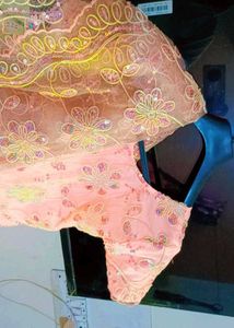 Embroidered Dress Material