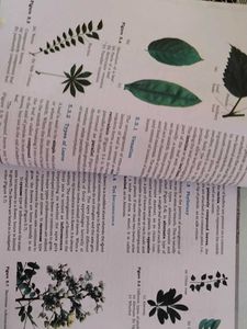 Biology Textbook Class XI