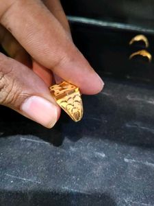 Huid 18 Ct Gents Ring