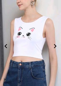 Beautiful Cat 😺 Top 😍