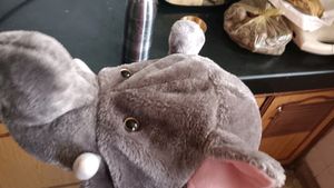 Fancy Elephant Cap