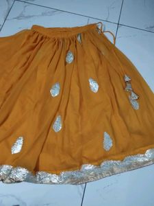 Ethnic Skirt