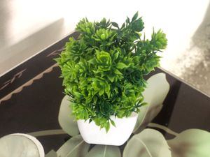 Green Tree Pot For Home Decoration ❤️