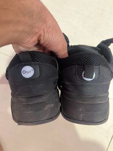 Brand New Shoes