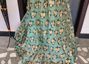 Elegant Ethnic Gown Organza