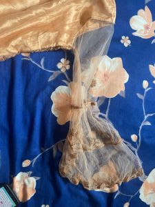 Elegant Peach Anarkali Dress