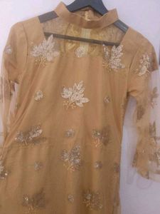 Gold Embellished Ethnic Gown