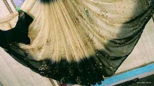 Elegant Saree