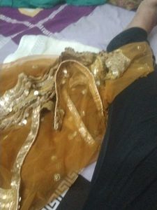 Fancy Party Wear Dupatta