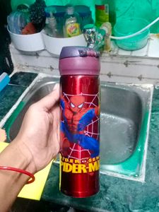 Mickey Mouse Water Bottle
