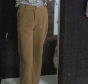 Straight Fit Brown Color Jeans