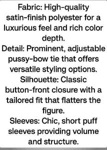 black shirt (Elegant Blk Bow Blouse