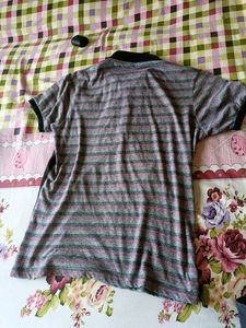 Men Collar T Shirt