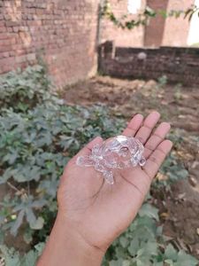 Crystal Tortoise
